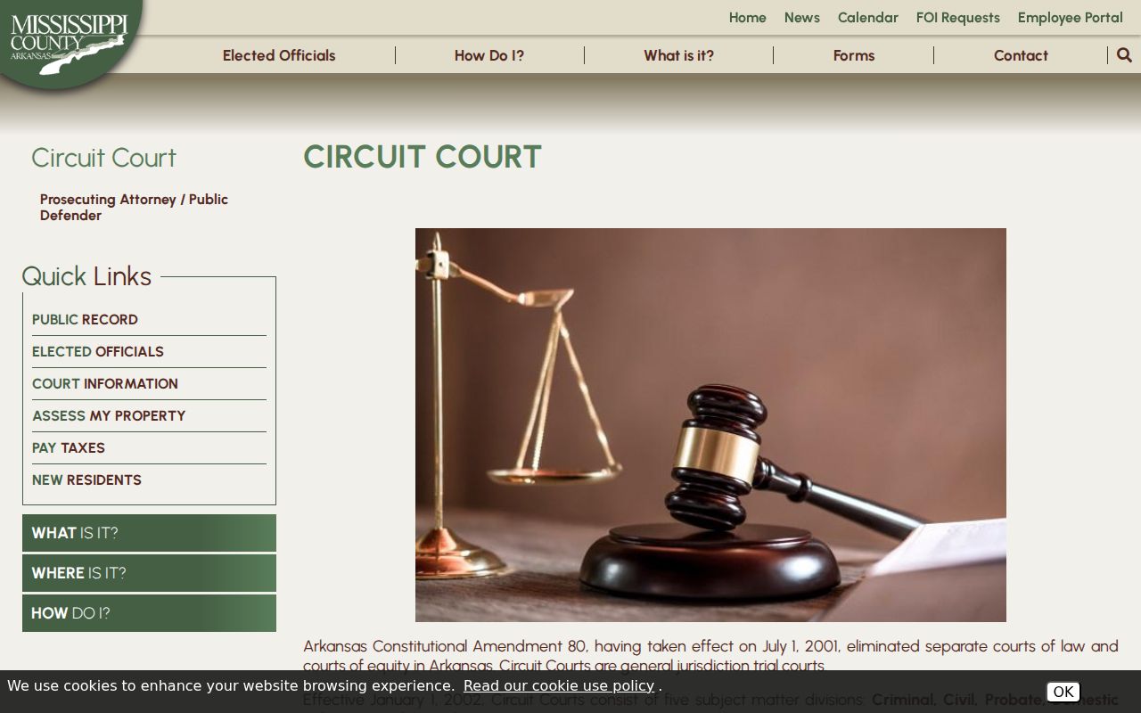 Mississippi County criminal court docket Circuit Court assignments