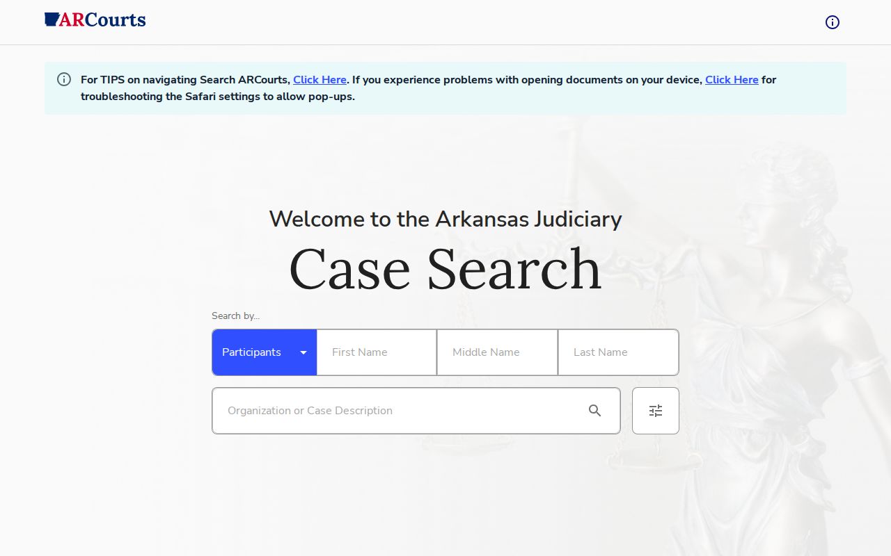 Mississippi County court docket participant search fields